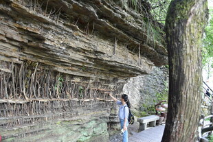 岩壁下的自然步道景观