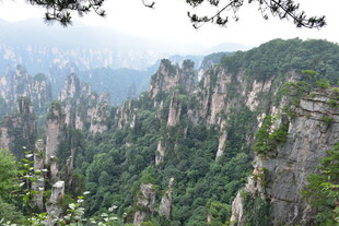 张家界奇峰美景