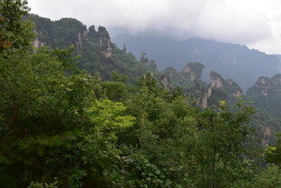 山林间的翠绿与朦胧山峦