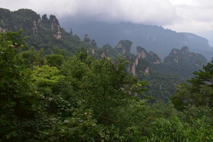 山峦叠翠间的绿意景致