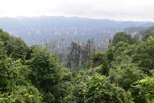 茂密山林俯瞰景观