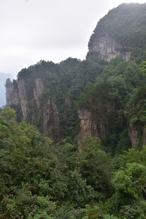 张家界奇峰异林景观