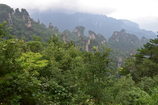 山林云雾间的秀丽景致