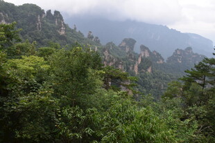 山峦叠翠间的绿意景致