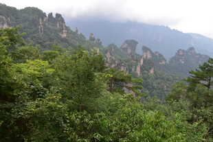 山峦叠翠间的绿意风光