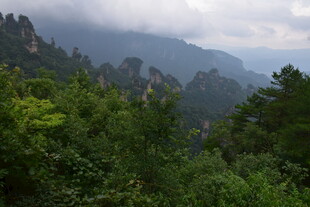 壮美山林景观