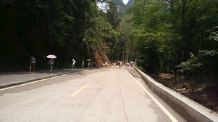 林间公路 漫步自然之径