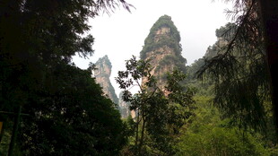张家界奇峰屹立于山林间