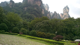 张家界奇峰异石景观