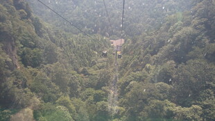 山间绿意盎然的静谧景致