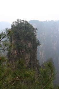 张家界奇峰 绿意盎然