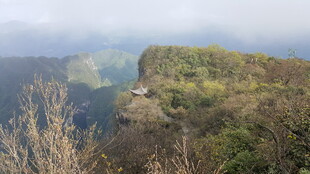 悬崖边的自然景致