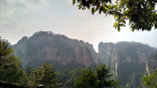 壮丽山峦与葱郁林木景观