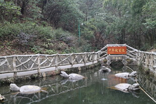 山间池塘与木质栈道景观