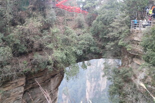 山间石桥映于葱郁草木间
