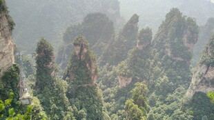 张家界奇峰异石景观