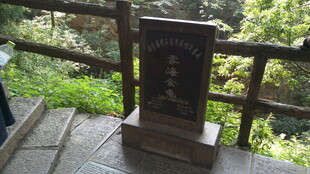 林中石碑 静谧景致