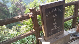 山间石碑景观