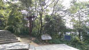 山林中的步道与指示牌