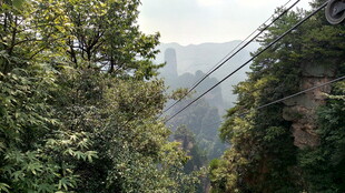 山间索道穿行于葱郁树林
