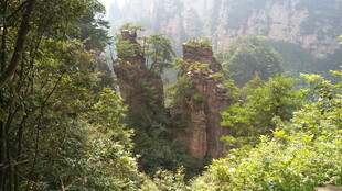 张家界奇峰的绿意之景