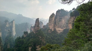 张家界奇峰美景