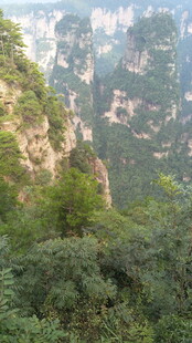 壮丽山峰与繁茂植被景观