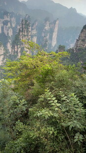 山间葱郁植被与奇峰