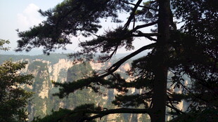壮丽山林景观