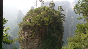 奇峰耸立的山林景观
