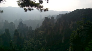 山林雾景 自然清幽之境
