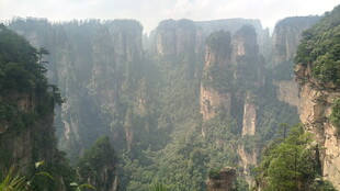张家界奇峰美景