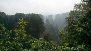 张家界奇峰异林景观