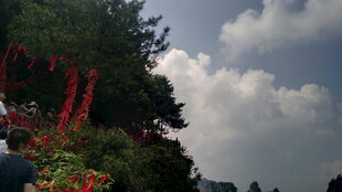 繁花绿树间的天空景致