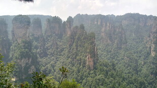 张家界奇峰美景