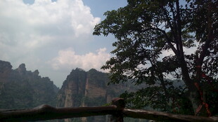 山间树影与远峰美景