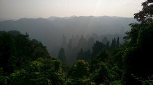 山林晨雾美景