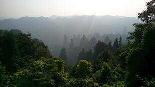 山林晨景 阳光穿透绿意
