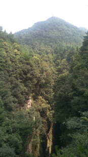 山间葱郁峡谷美景
