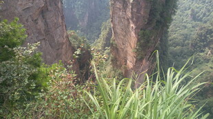 山间奇峰异石与绿植景观