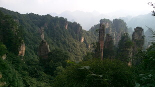 张家界奇峰林立美景