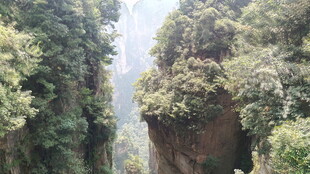 峡谷间繁茂山林景观