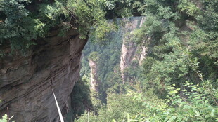 山间峡谷绿意盎然