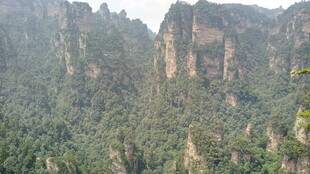 壮丽奇峰 山林葱郁景观