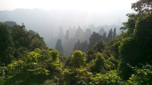 山林晨雾景观