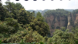 壮丽山林景观