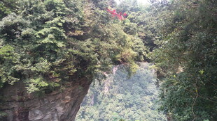 山间绿意盎然的峡谷景色