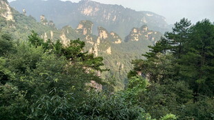 壮丽山景 葱郁山林