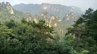 壮美山林景观