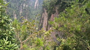 山间葱郁植被与嶙峋岩壁